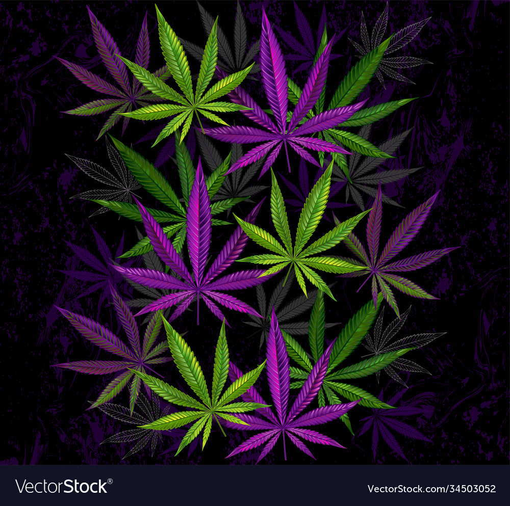 Purple and green cannabis