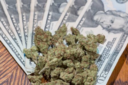 7 In 10 Marijuana Consumers Plan To Spend More Or The Same Amount On Cannabis In 2025, Poll Finds