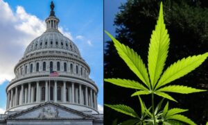 Major Coalition Of Marijuana Groups Announces Week-Long Push In DC For Legalization And Clemency Under Trump Admin