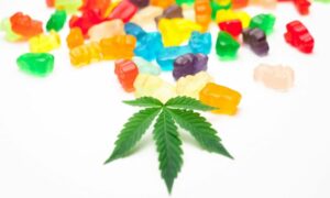 Licensed Marijuana Businesses Consistently Verify Customers’ Age To Prevent Youth Sales, American Academy Of Pediatrics Study Shows