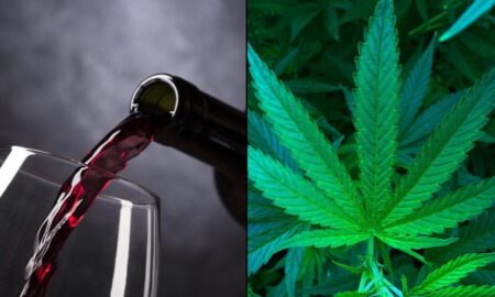 Analysts See ‘Sudden Spike’ In Use Of Marijuana As An Alcohol Alternative