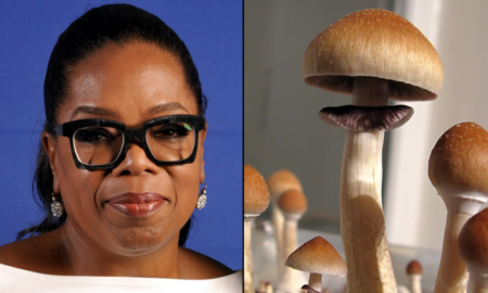 Oprah Highlights Cultural ‘Shift’ Around Psychedelics—But Worries About ‘Losing My Mind’ If She Experimented